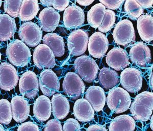 Cinsel Yolla Bulaşan Hastalıklarla Mücadelede Kullanılan Etkili Yöntemler