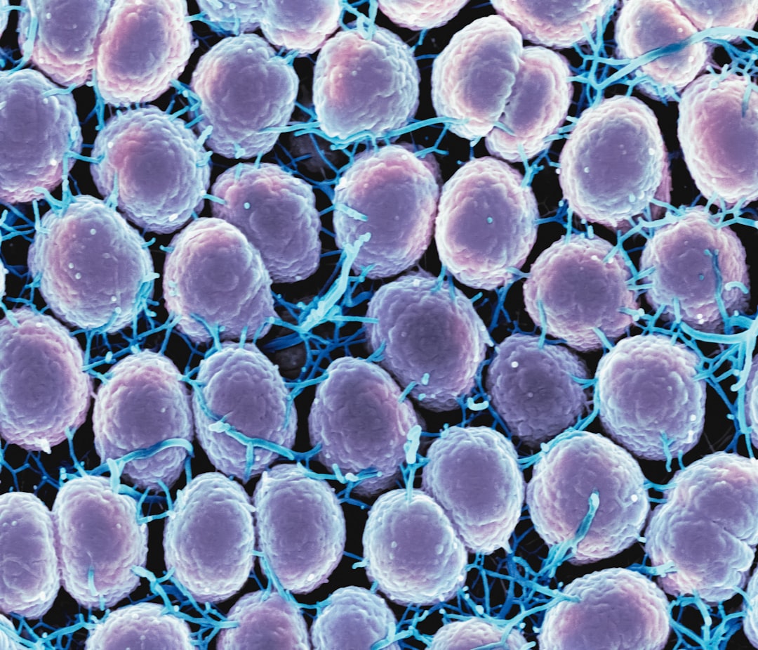 Cinsel Yolla Bulaşan Hastalıklarla Mücadelede Kullanılan Etkili Yöntemler