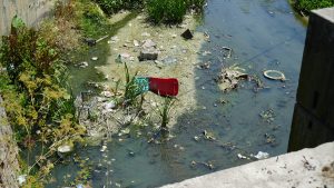 İstanbul Arnavutköy’de Çevre ve Sağlık Sorunu: Boğazköy Deresi’nin Çözüm Bekleyen Kirliliği