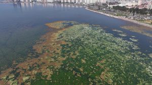 İzmir Körfezi’nde Kirlilik ve Çevre İzleme Çalışmaları