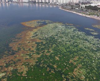 İzmir Körfezi’nde Kirlilik ve Çevre İzleme Çalışmaları