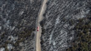 İzmir’de Horozgediği Mahallesi’nde Orman Yangını Kontrol Altına Alındı