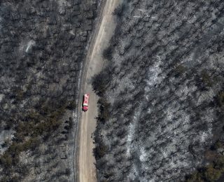 İzmir’de Horozgediği Mahallesi’nde Orman Yangını Kontrol Altına Alındı