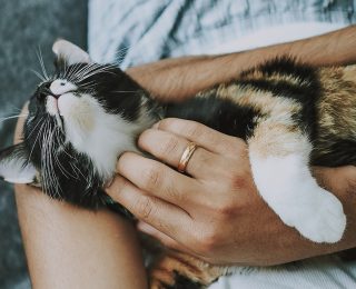 Kadın Yüz Bakımı İçin Evde Yapabileceğiniz Maske Tarifleri