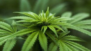 Sağlık Alanında Yeni Düzenlemeler İçeren Kanun Teklifi TBMM’ye Sunuldu