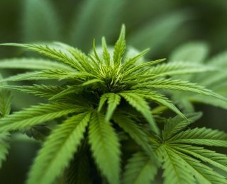 Sağlık Alanında Yeni Düzenlemeler İçeren Kanun Teklifi TBMM’ye Sunuldu