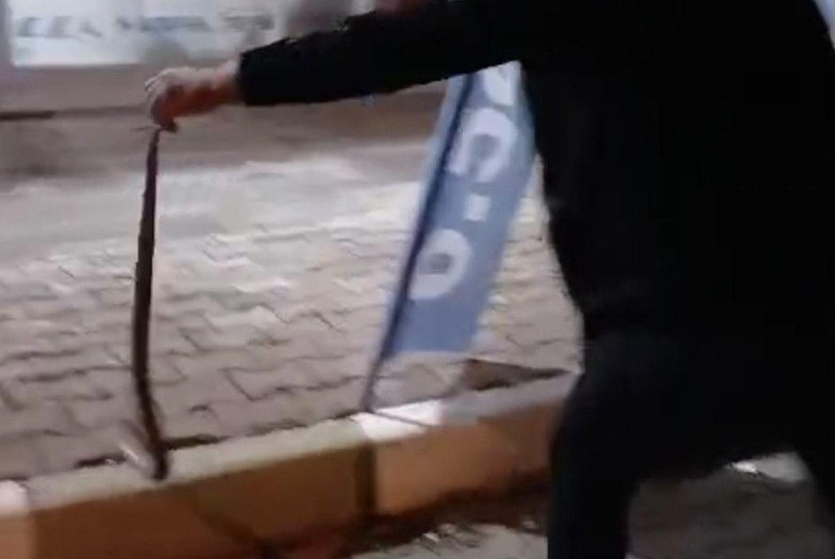 Yılanı Yakalama Anı ve İlk Tepkiler