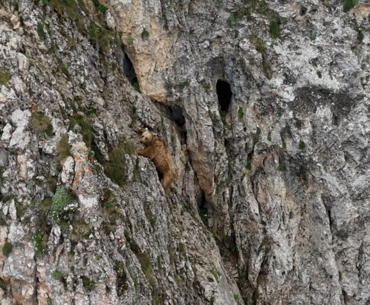 Doğa Fotoğrafçıları Özgür Şahin ve Mehmet Fidan’dan Unutulmaz Bir Karşılaşma