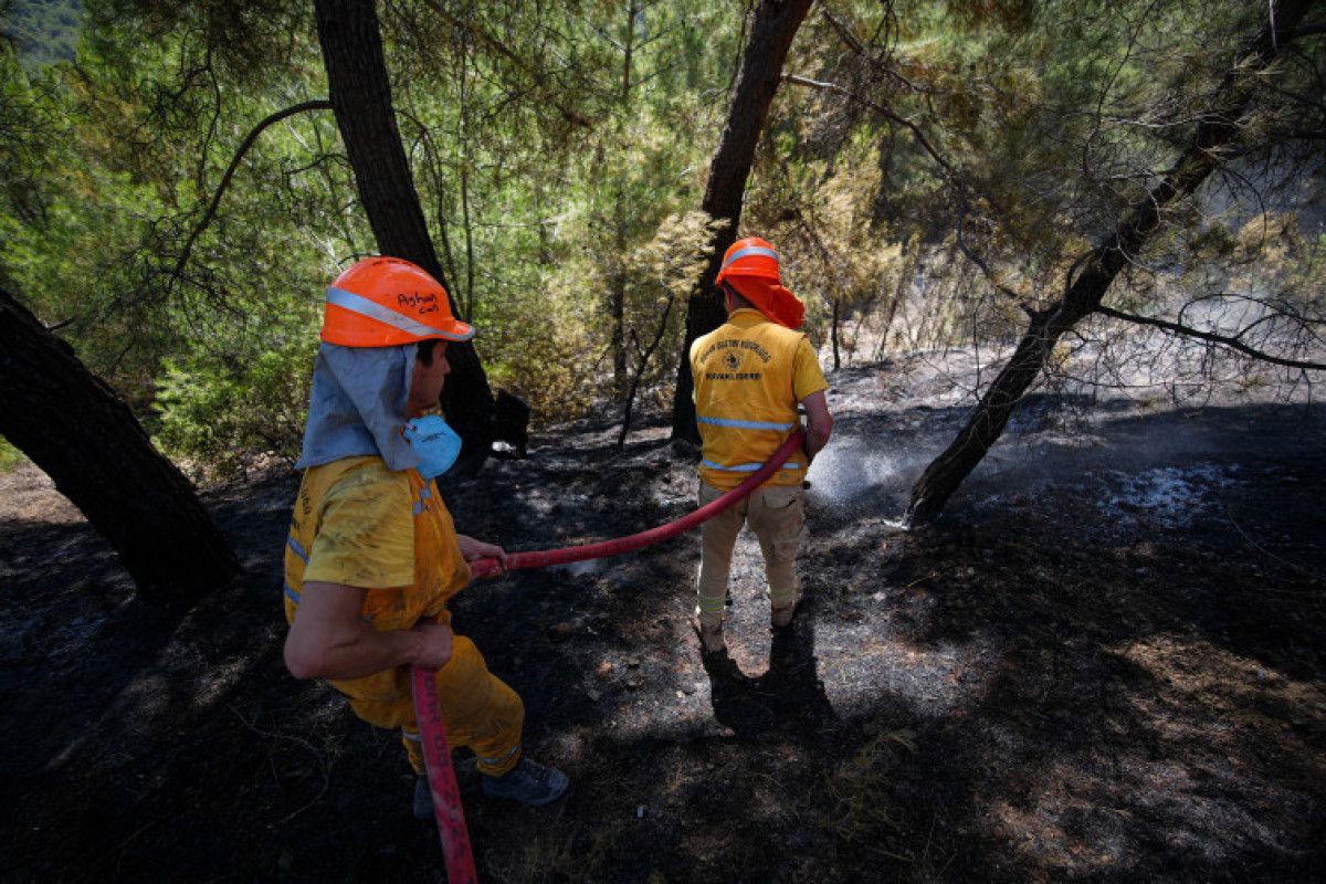Binlerce Kişi Sahada, Yangınla Mücadelede Azim ve Cesaret Bir Arada
