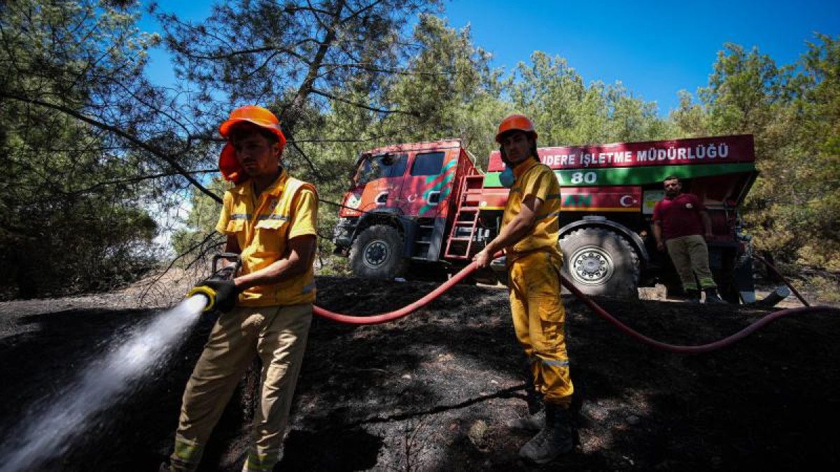 Orman İşçilerinden Göz Kamaştıran Çaba ve Vatan Sevgisi