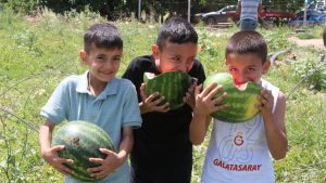 Türkiye’de Karpuz Hasat Sezonunun Başlangıcı ve Fiyat Durumu