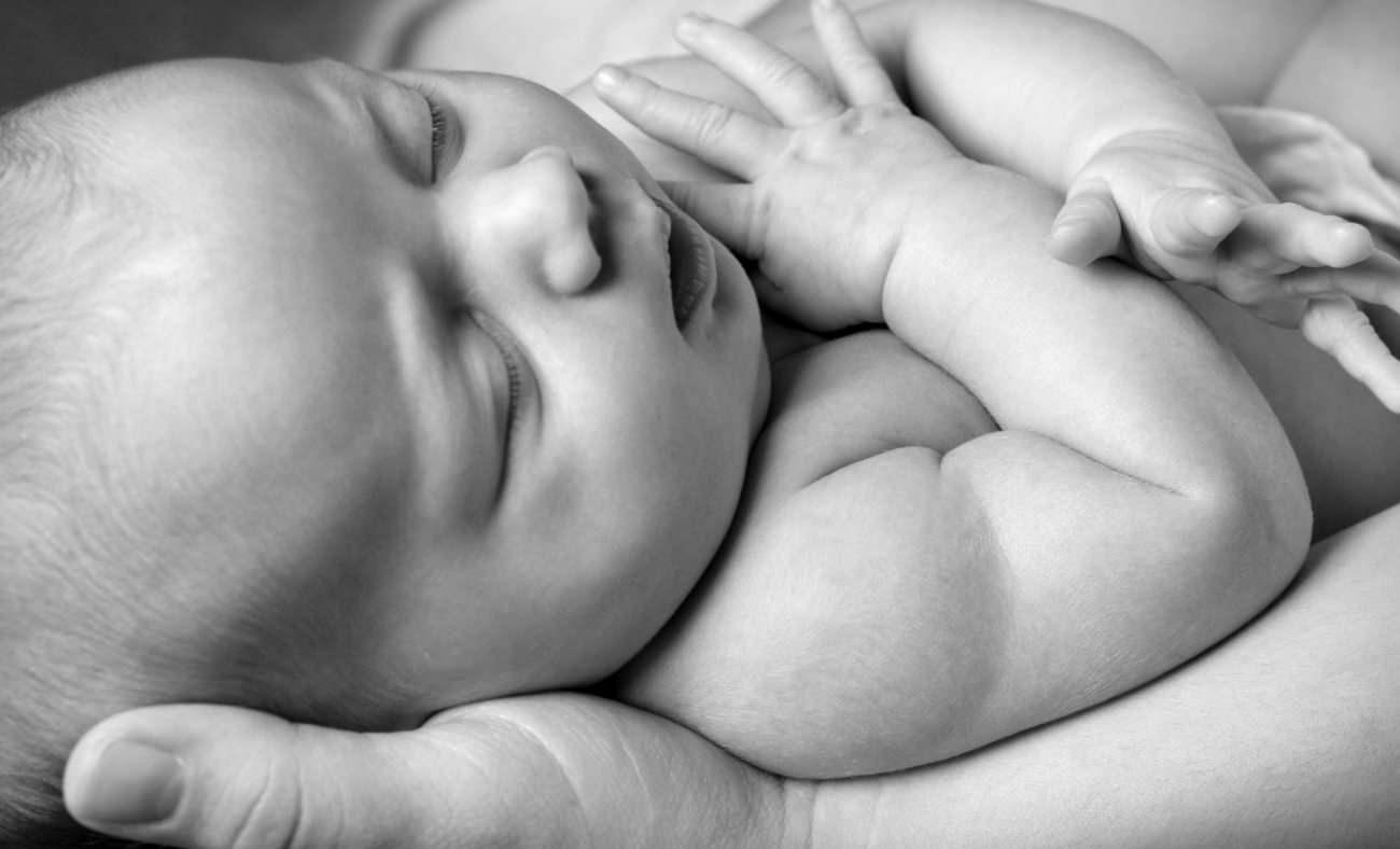 Emriyoların Dondurulması ve Doğumu