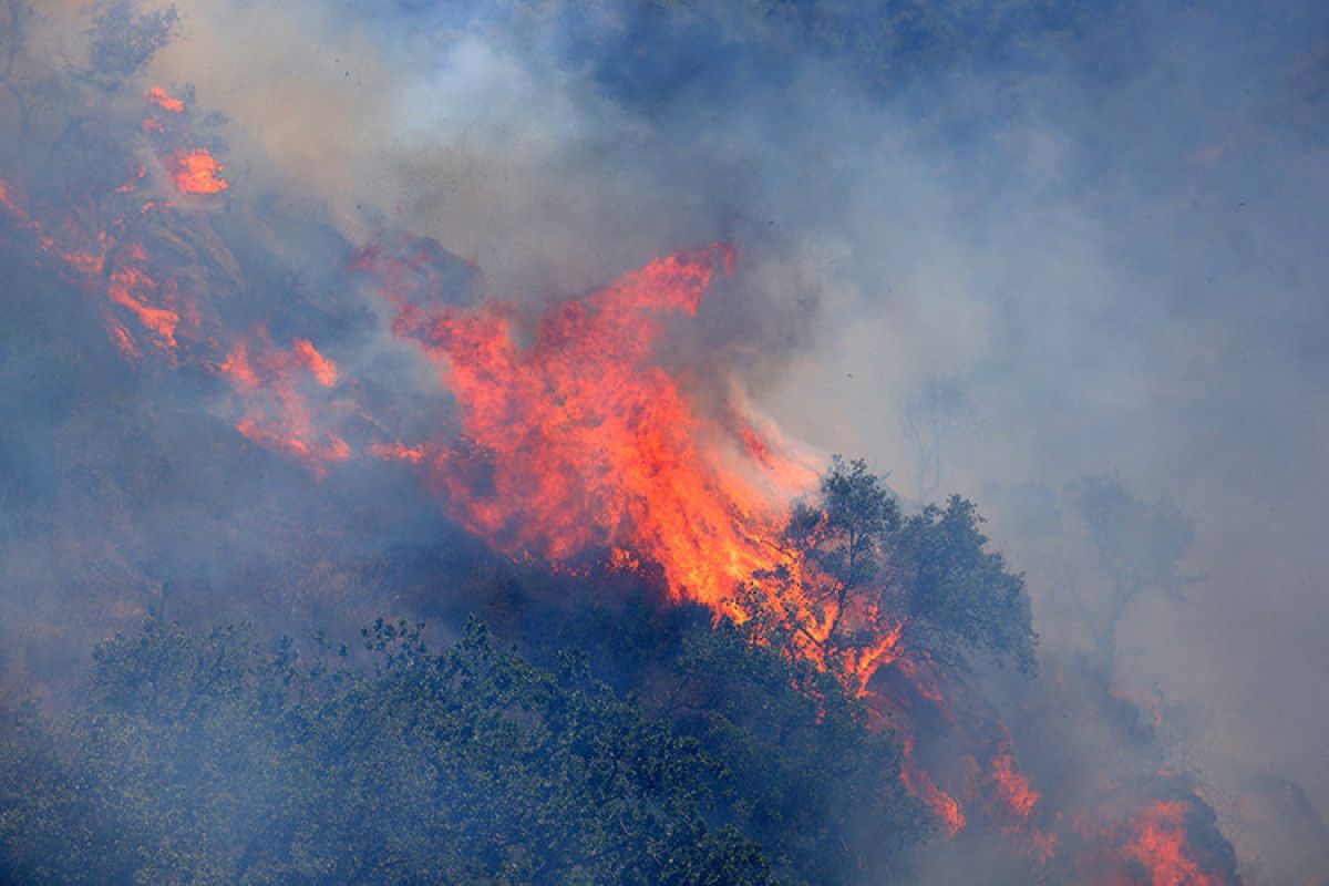 Türkiye ve Diğer Ülkelerde Risk Durumu