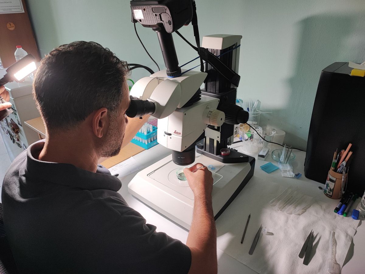 Deniz Suyu Sıcaklığındaki Artış ve Küresel İklim Değişikliği