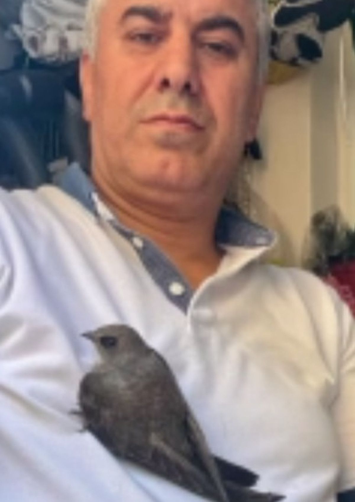 Altı Yıl Sonra Sevgiyle Büyütülen Ebabil Kuşu Sahiplerine Döndü