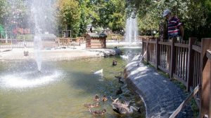 Ankara’da Mevsim Normallerinin Üzerinde Seyreden Hava Sıcaklıkları Uyarısı