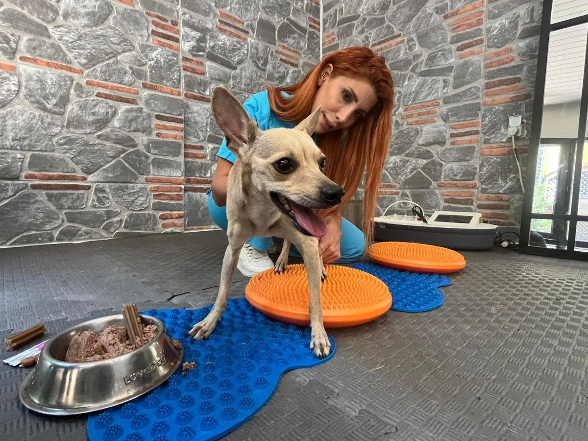 Nişanlı Çiftin Ayrılığı ve Lucky’nin Durumu