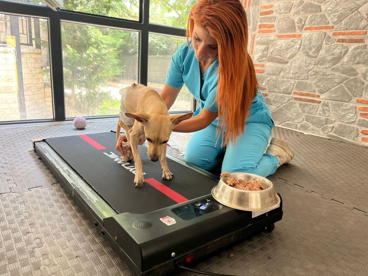 Nişanlı Çiftin Ayrılığı ve Lucky’nin Durumu