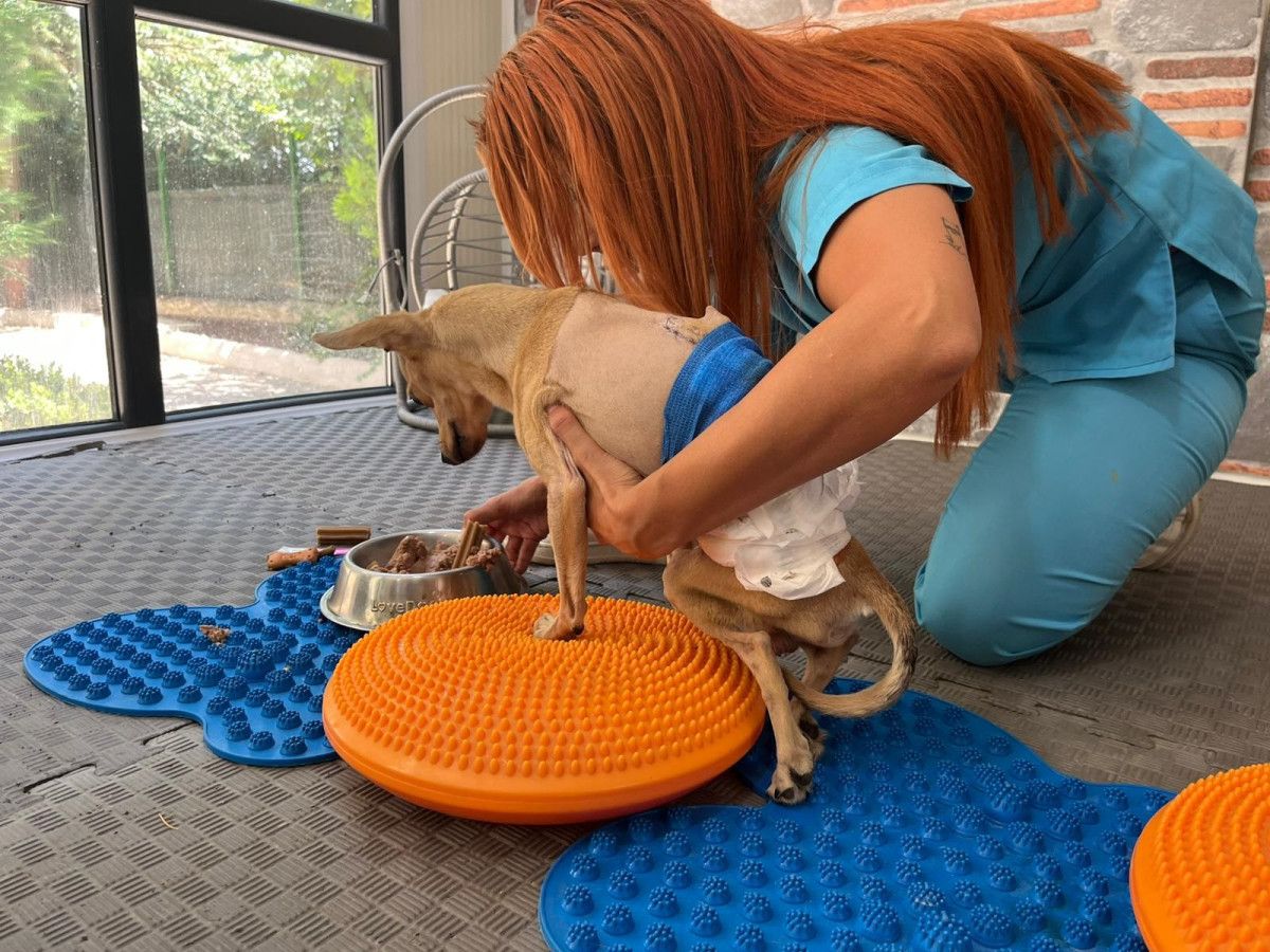 Sevgi ve Umutla Geleceğe Bakış