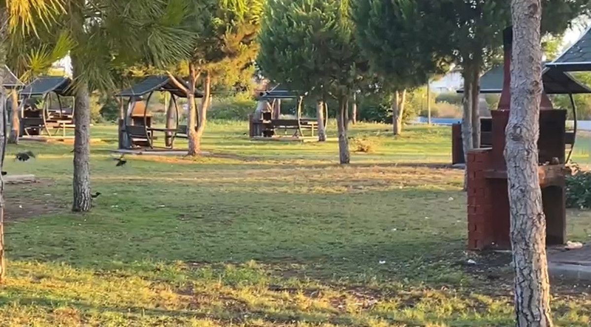 Antalya'da Karga Sürprizi ve Doğa Dostları