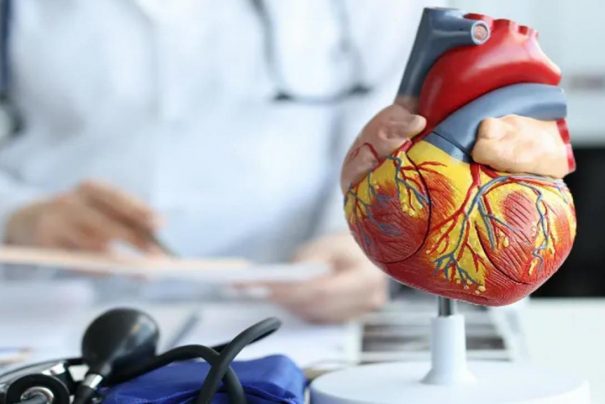 Aort Genişlemesi ve Sessiz Tehlike: Belirtileri, Riskleri ve Korunma Yolları