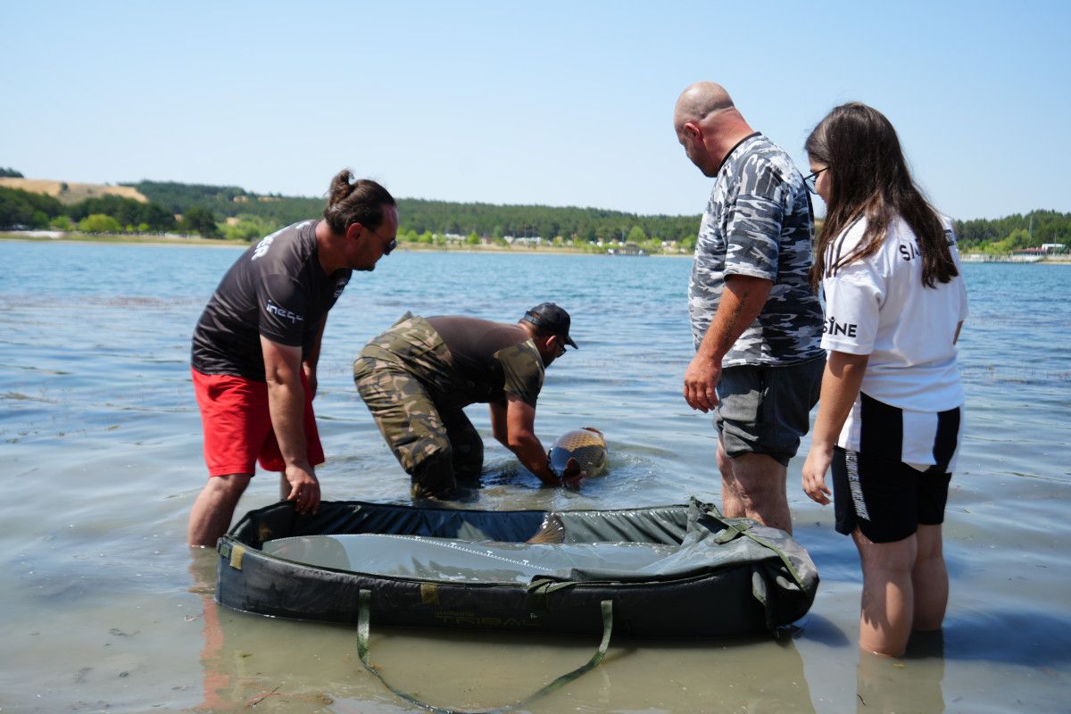 Balıkların Güvenliği ve Çekim Teknikleri