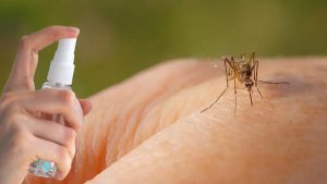 Bu Kokuyla Sivrisinek Kabusuna Son Verin: Sinek İlacına Artık Gerek Yok!