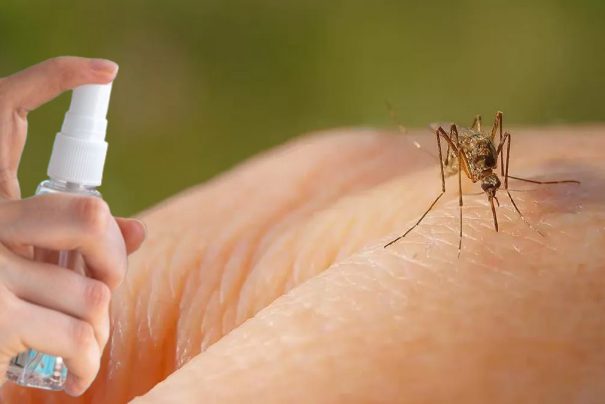 Bu Kokuyla Sivrisinek Kabusuna Son Verin: Sinek İlacına Artık Gerek Yok!