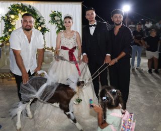 Çanakkale’de Düğünlerde Sürpriz Hediye: Buzağıyla Renkli Anlar