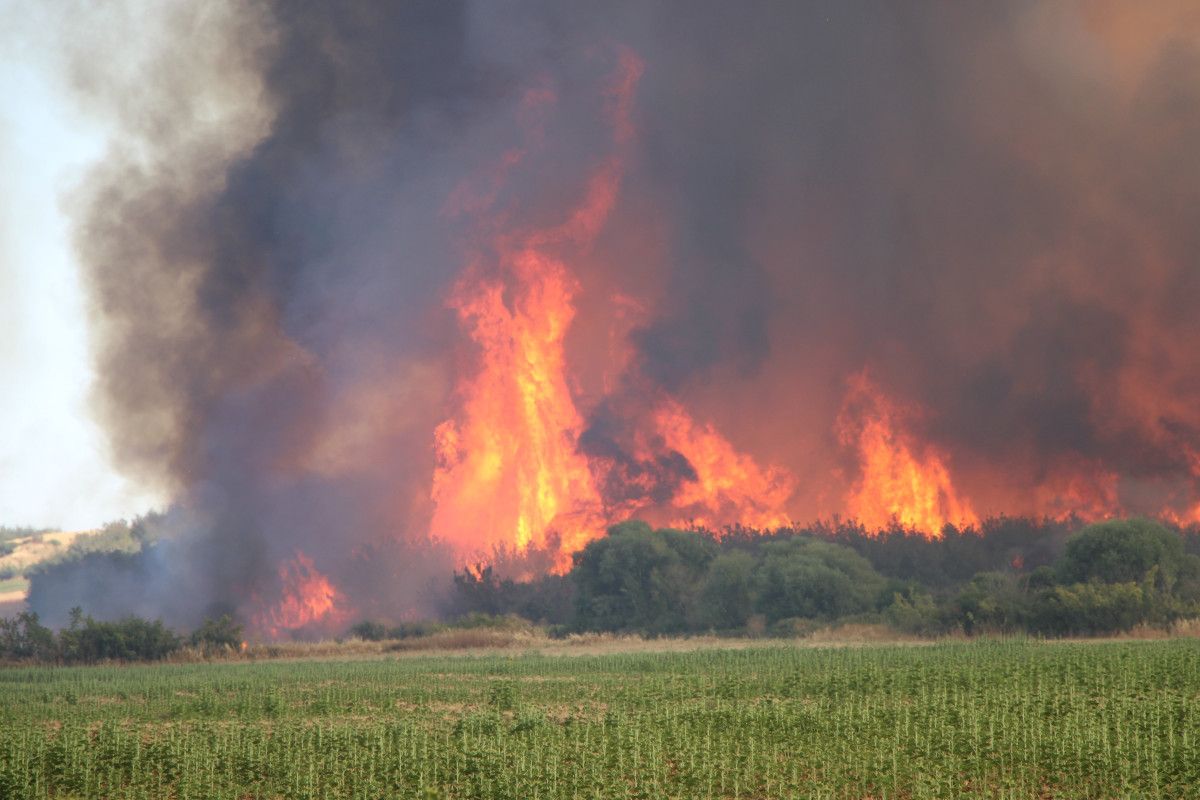 Yangının Yüzölçümüne Dair Detaylar
