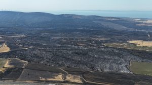 Çanakkale’deki Orman Yangınında 119 Futbol Sahası Büyüklüğünde Alanın Yanması