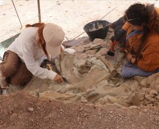 Çankırı’da 9 Milyon Yıllık Fosil Keşfi: Fil, Gergedan ve Zürafa İzleri Bulundu