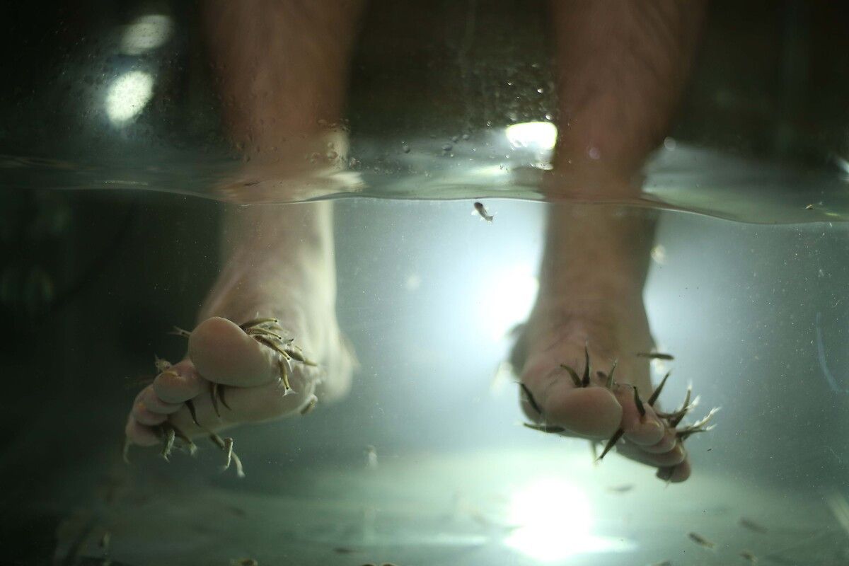 Uygulama ve Sonrası Dikkat Edilmesi Gerekenler