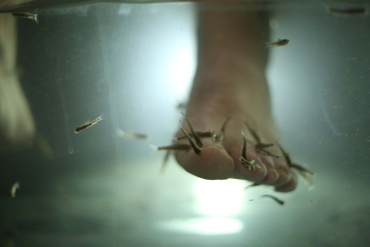 Uygulama ve Sonrası Dikkat Edilmesi Gerekenler