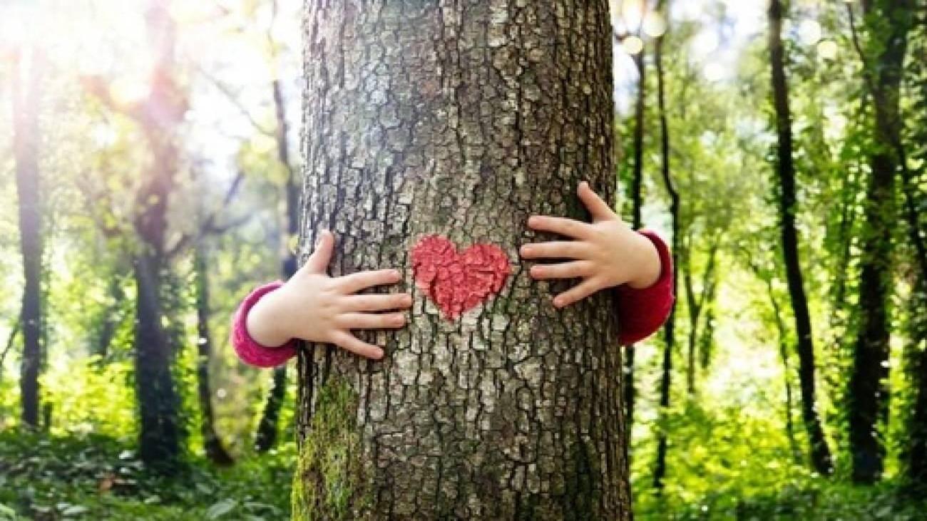 1- NE YAPSAK DA ORMANSIZ KALMASAK?