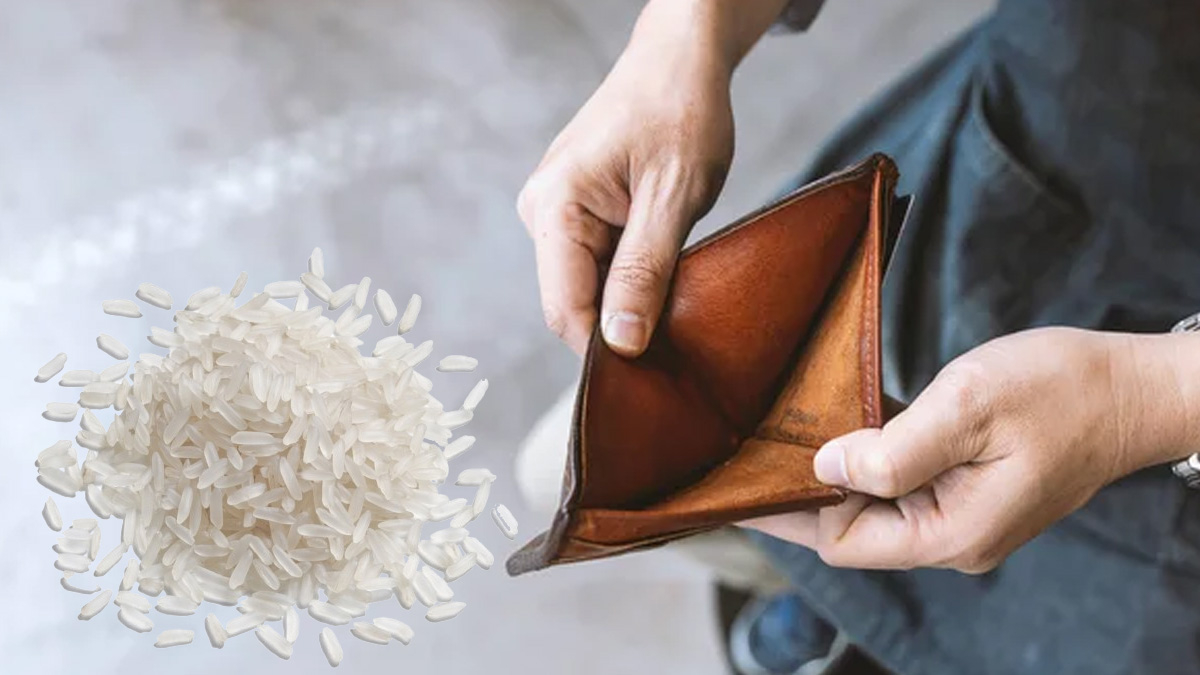 Cüzdana Atılan Bereketi Çekici Pirinçler