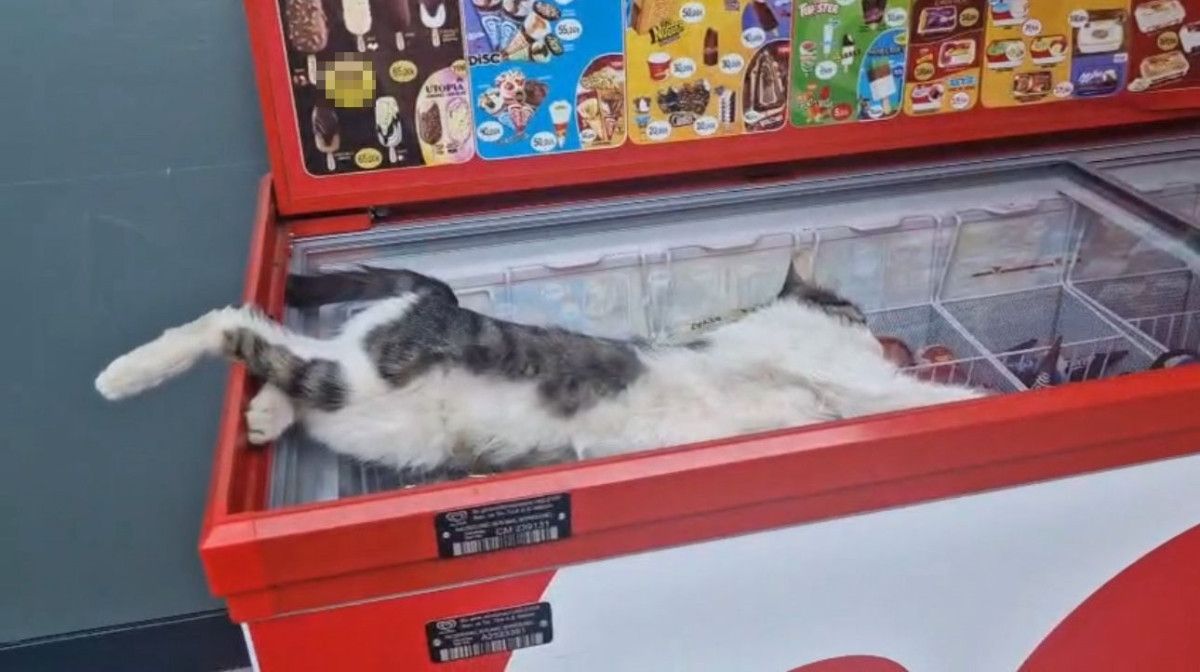 Sıcakların Kavurduğu Diyarbakırda Hayat Durdu