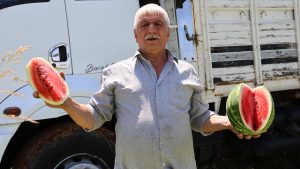 Diyarbakır’da Karpuz Hasadı ve Fiyatlarda Yaşanan Değişimler
