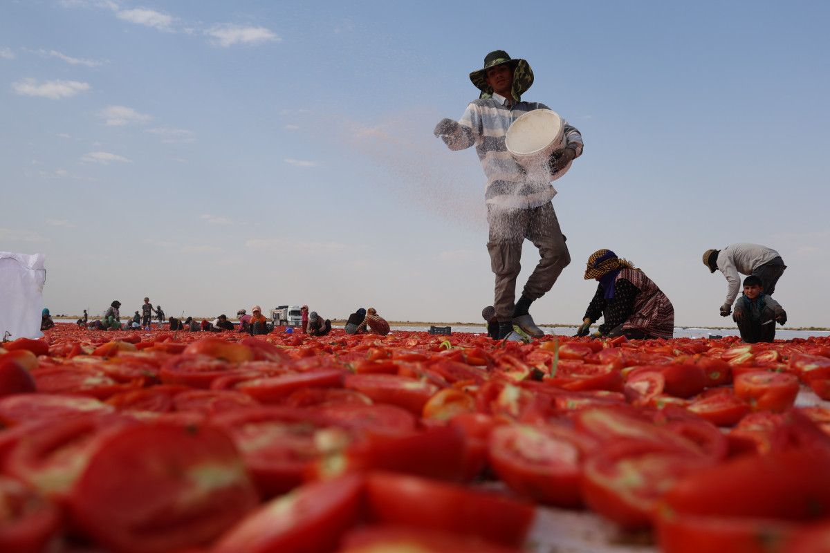 Sıcak Havalarda Çalışma ve Üretim Süreci