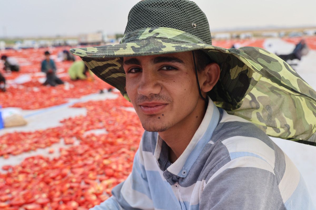 Diyarbakır'da Kurutulan Domatesler Avrupa Pazarında Yeralacak