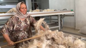 Geleneksel Mesleklere Yeni Bir Nefes: Cemile Şahin’in Yün ve Yorgan Hikayesi