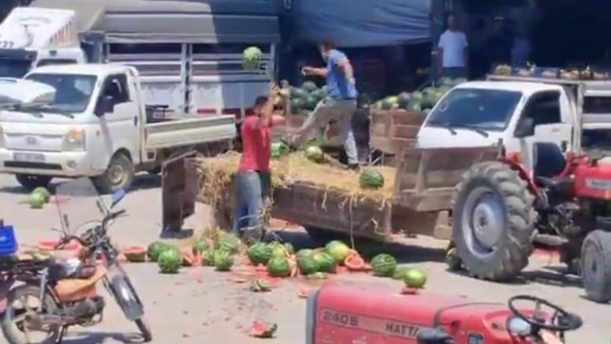 Geyve İlçesinde Karpuzların Aniden Ziyan Edilmesi ve Sonrası Gelişmeler