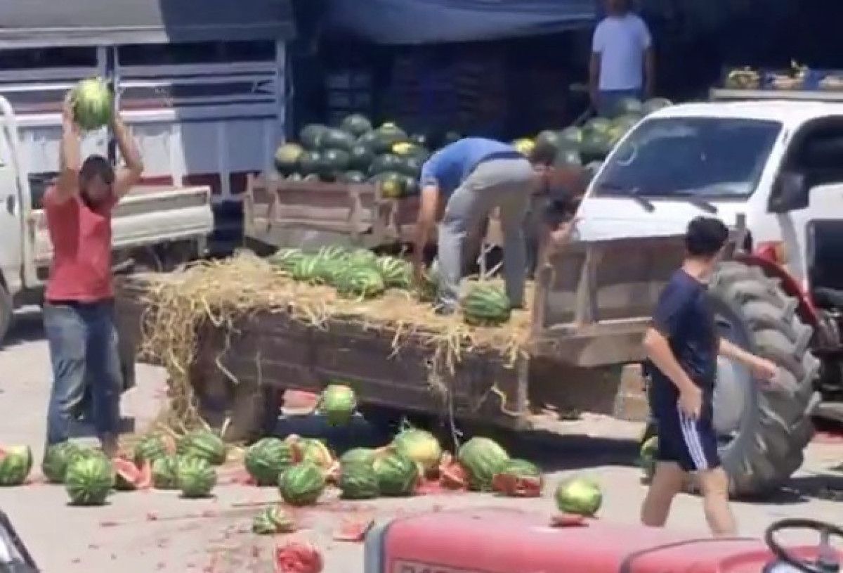 Geyve İlçesinde Karpuzların Aniden Ziyan Edilmesi ve Sonrası Gelişmeler