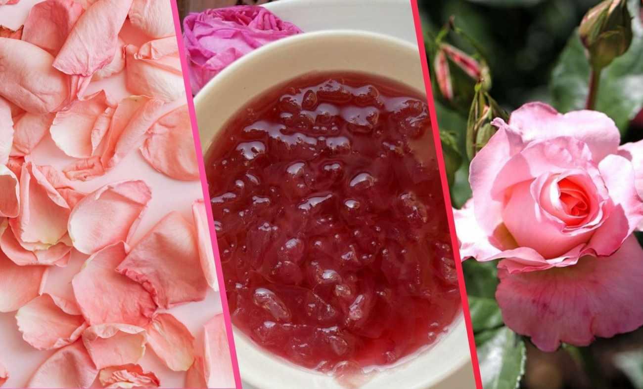 Gül Reçeli İçin Uygun Gül Seçimi