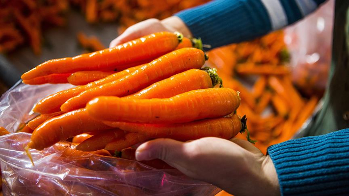 Güneşin Yaz Aylarındaki Etkisi ve Cilt Sağlığı