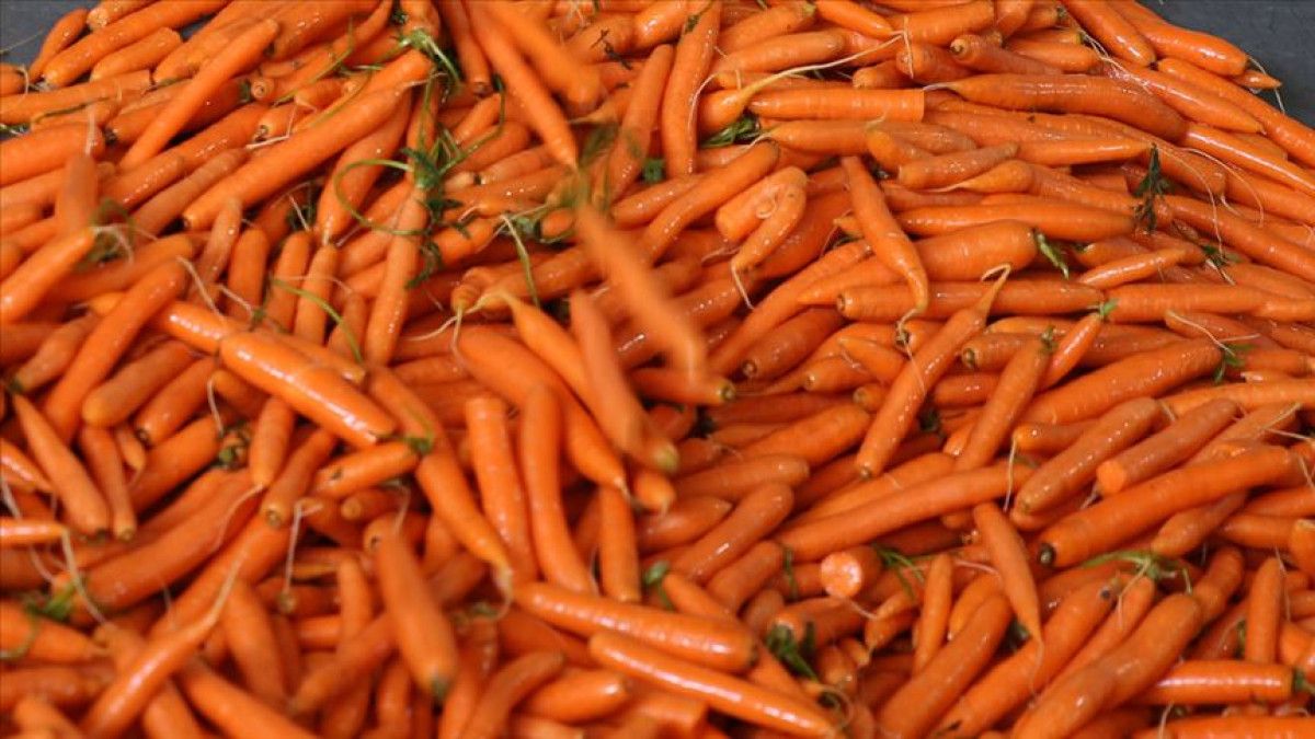 Doğal Bir Çözüm: Havuç