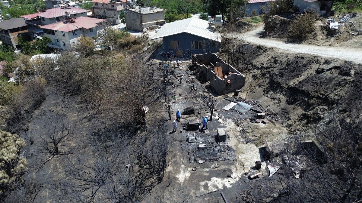 Ormanlık Alanda Çıkan Yangın ve Yıkıcı Etkisi