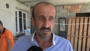 Hatay’da Görülen Oluklu Kertenkele: Zararsız ve Ekosisteme Katkı Sağlayan Bir Canlı