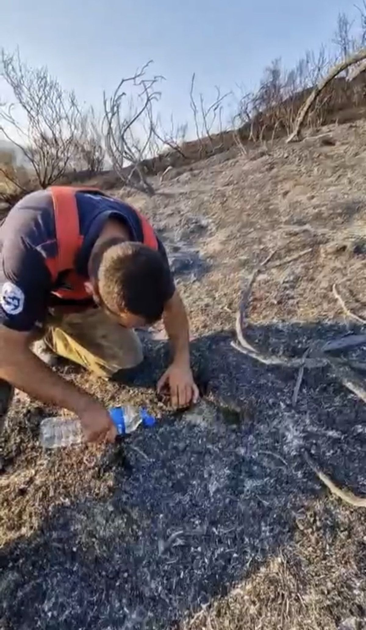 Yürek Isıtan Anlar