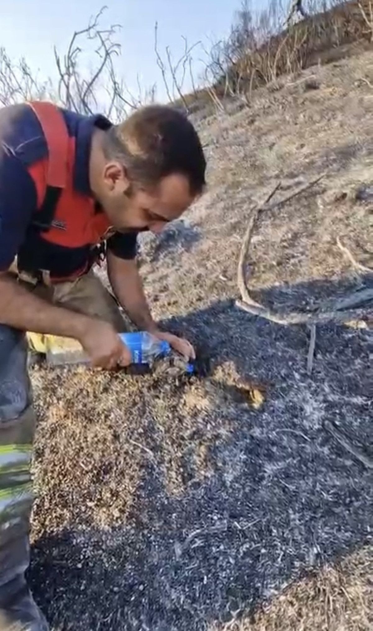 Yürek Isıtan Anlar